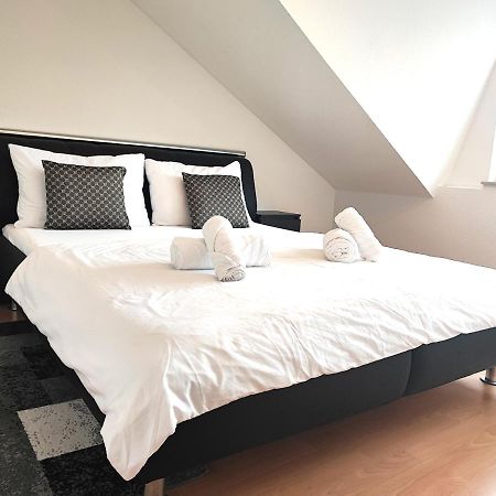 Klein Aber Fein 3 Zimmer 73Qm Düren - Eifel Esterno foto